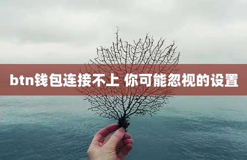 btn钱包连接不上 你可能忽视的设置