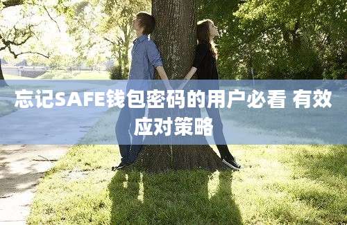 忘记SAFE钱包密码的用户必看 有效应对策略