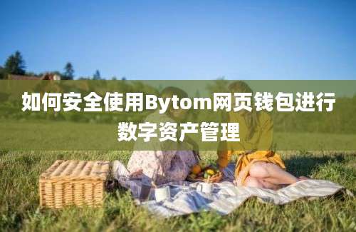 如何安全使用Bytom网页钱包进行数字资产管理