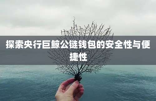 探索央行巨鲸公链钱包的安全性与便捷性