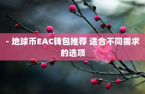 - 地球币EAC钱包推荐 适合不同需求的选项