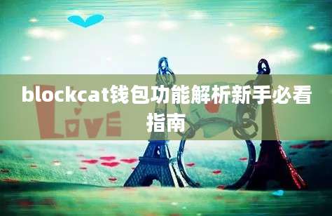 blockcat钱包功能解析新手必看指南