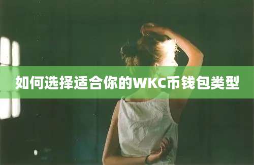 如何选择适合你的WKC币钱包类型