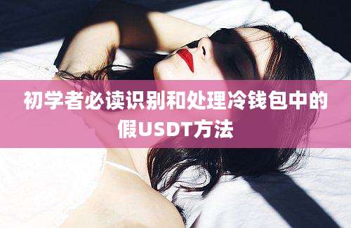 初学者必读识别和处理冷钱包中的假USDT方法