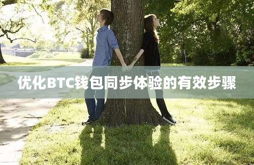 优化BTC钱包同步体验的有效步骤