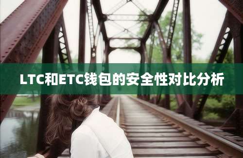 LTC和ETC钱包的安全性对比分析