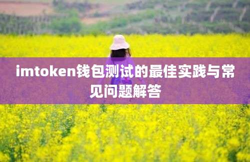 imtoken钱包测试的最佳实践与常见问题解答