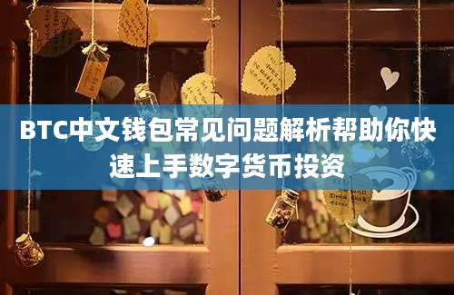 BTC中文钱包常见问题解析帮助你快速上手数字货币投资