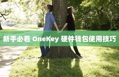 新手必看 OneKey 硬件钱包使用技巧