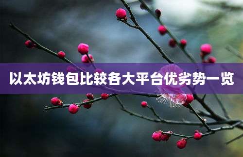 以太坊钱包比较各大平台优劣势一览