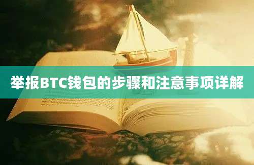 举报BTC钱包的步骤和注意事项详解