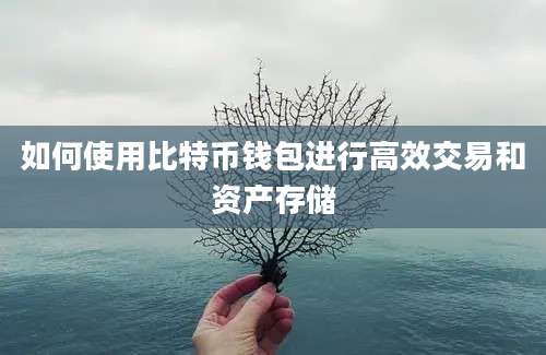 如何使用比特币钱包进行高效交易和资产存储