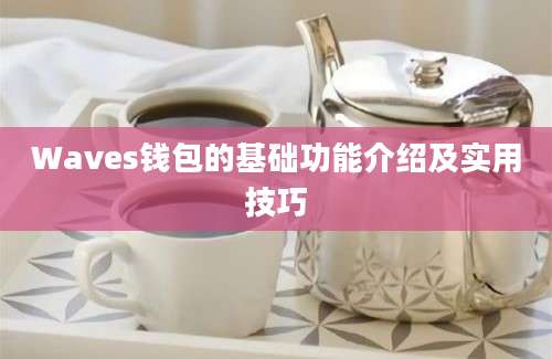 Waves钱包的基础功能介绍及实用技巧