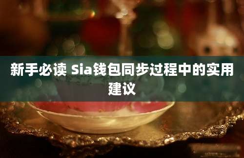 新手必读 Sia钱包同步过程中的实用建议