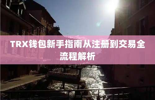 TRX钱包新手指南从注册到交易全流程解析