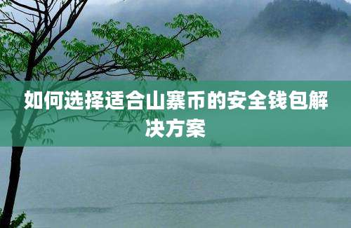 如何选择适合山寨币的安全钱包解决方案