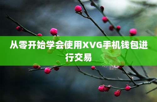 从零开始学会使用XVG手机钱包进行交易