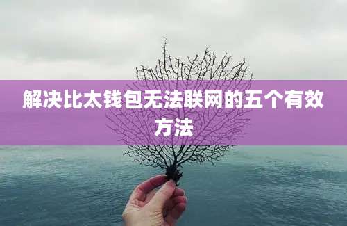 解决比太钱包无法联网的五个有效方法