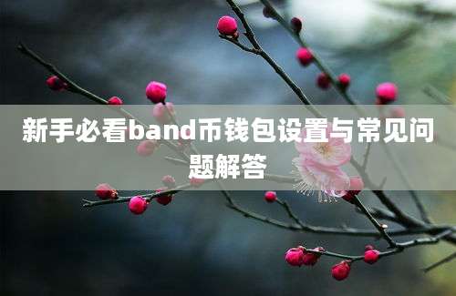 新手必看band币钱包设置与常见问题解答