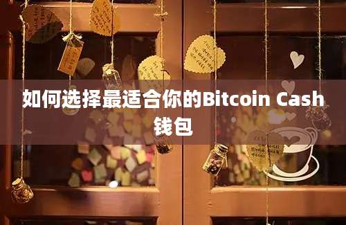 如何选择最适合你的Bitcoin Cash钱包