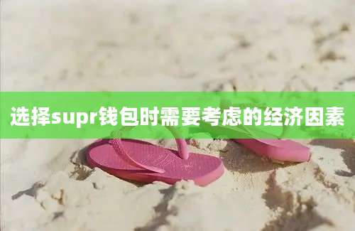 选择supr钱包时需要考虑的经济因素