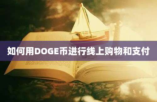 如何用DOGE币进行线上购物和支付