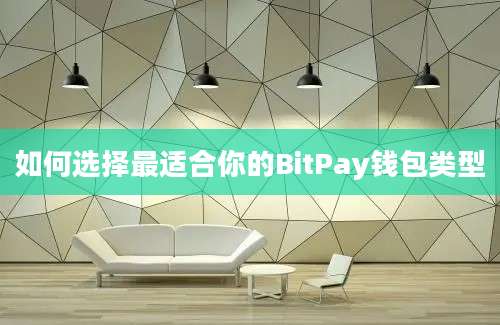 如何选择最适合你的BitPay钱包类型