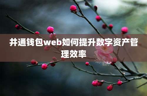 井通钱包web如何提升数字资产管理效率