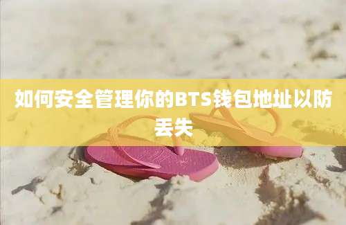 如何安全管理你的BTS钱包地址以防丢失