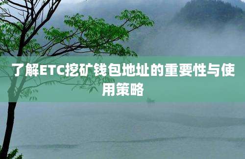 了解ETC挖矿钱包地址的重要性与使用策略