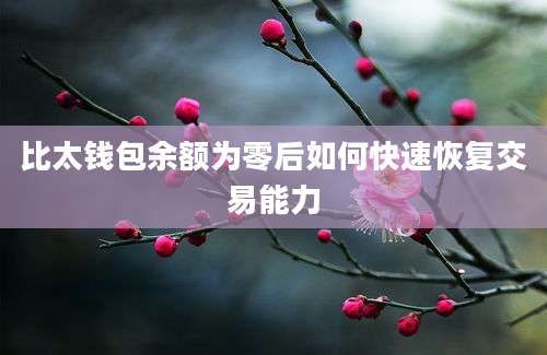 比太钱包余额为零后如何快速恢复交易能力