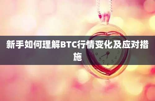 新手如何理解BTC行情变化及应对措施