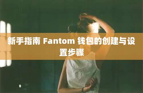 新手指南 Fantom 钱包的创建与设置步骤