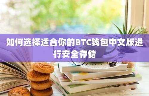 如何选择适合你的BTC钱包中文版进行安全存储