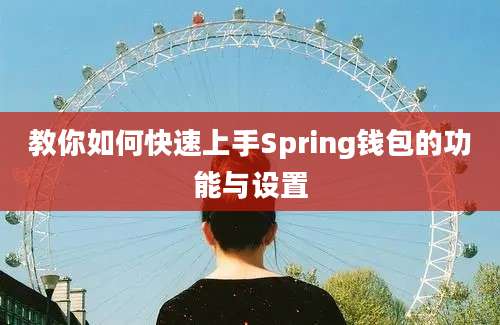 教你如何快速上手Spring钱包的功能与设置