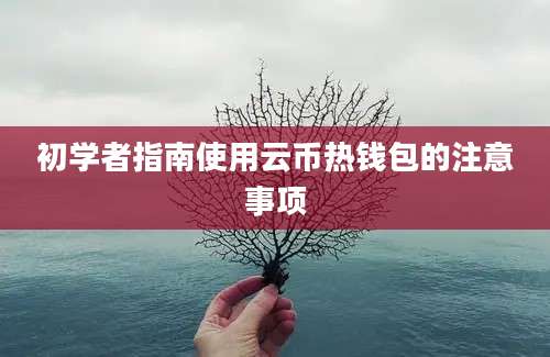 初学者指南使用云币热钱包的注意事项