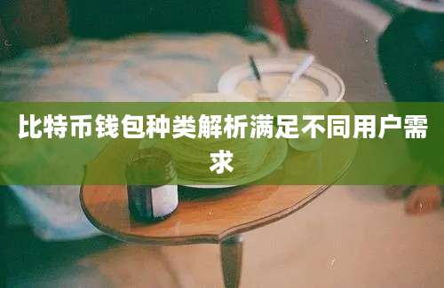 比特币钱包种类解析满足不同用户需求