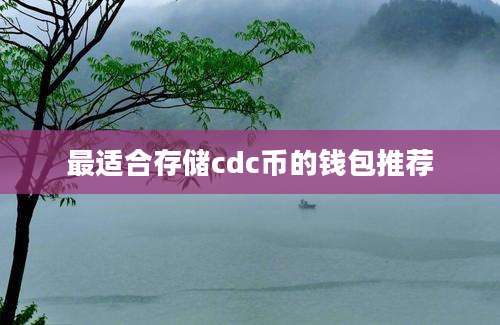 最适合存储cdc币的钱包推荐