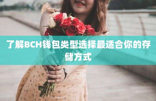 了解BCH钱包类型选择最适合你的存储方式