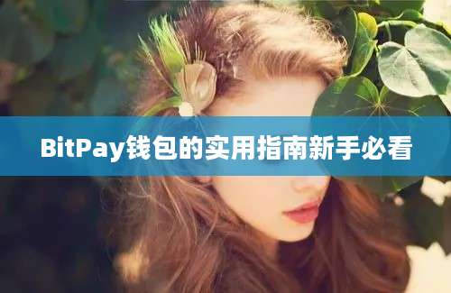 BitPay钱包的实用指南新手必看