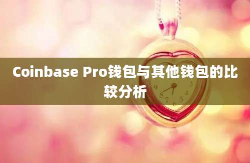 Coinbase Pro钱包与其他钱包的比较分析