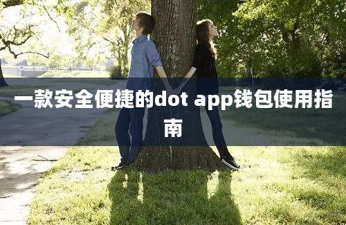 一款安全便捷的dot app钱包使用指南