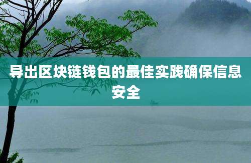 导出区块链钱包的最佳实践确保信息安全