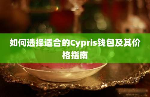 如何选择适合的Cypris钱包及其价格指南