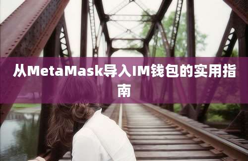 从MetaMask导入IM钱包的实用指南