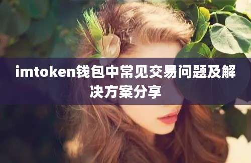 imtoken钱包中常见交易问题及解决方案分享