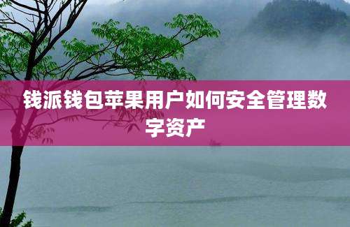 钱派钱包苹果用户如何安全管理数字资产