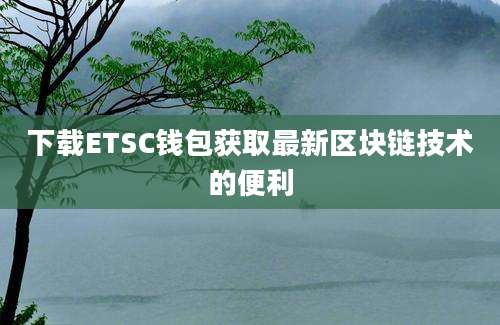 下载ETSC钱包获取最新区块链技术的便利