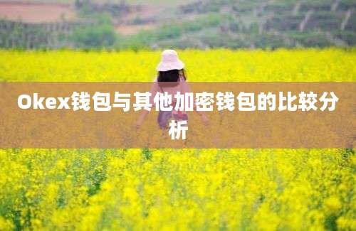 Okex钱包与其他加密钱包的比较分析