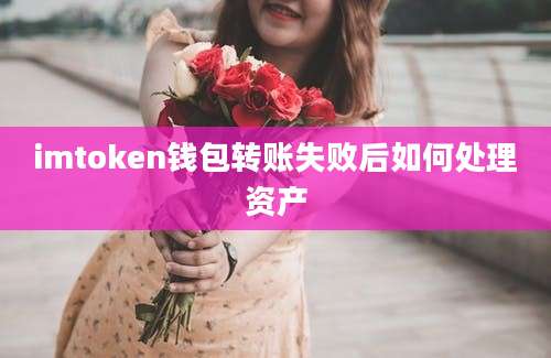 imtoken钱包转账失败后如何处理资产